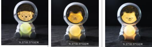 Starry Sky Animal Night Light