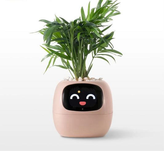 Pink Tuya Ivy Smart Planter