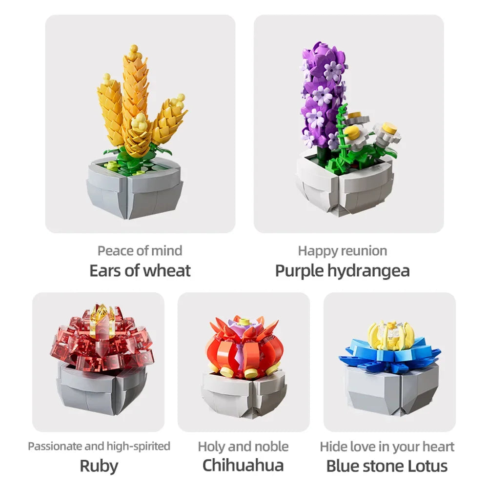 Succulent Flower Building Blocks