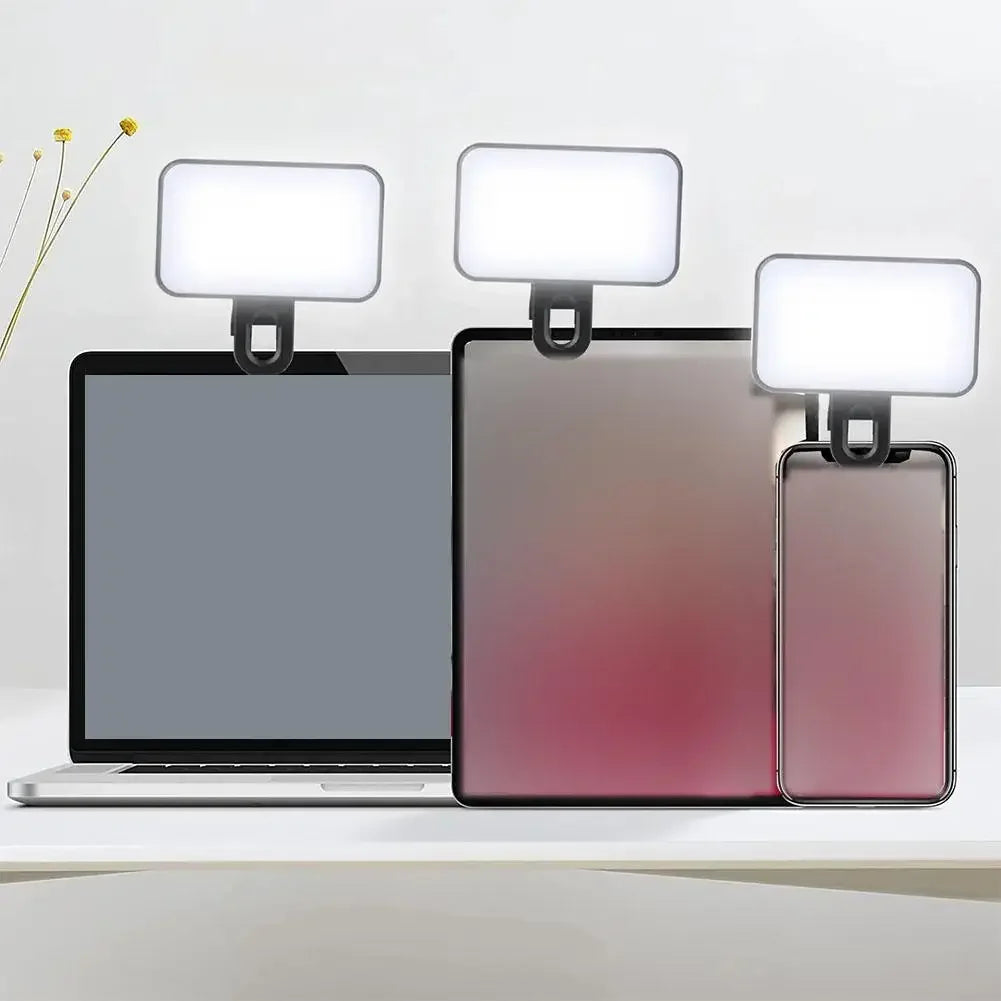 Mini selfie light