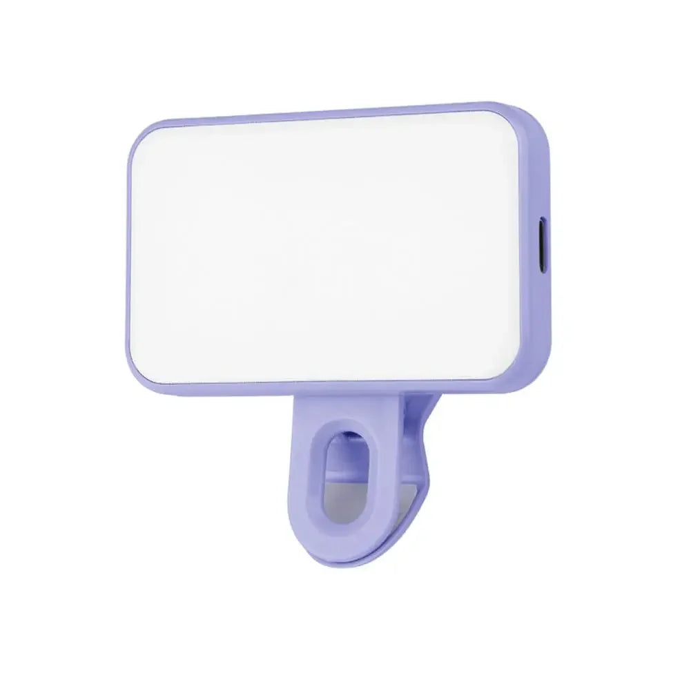 Mini selfie light