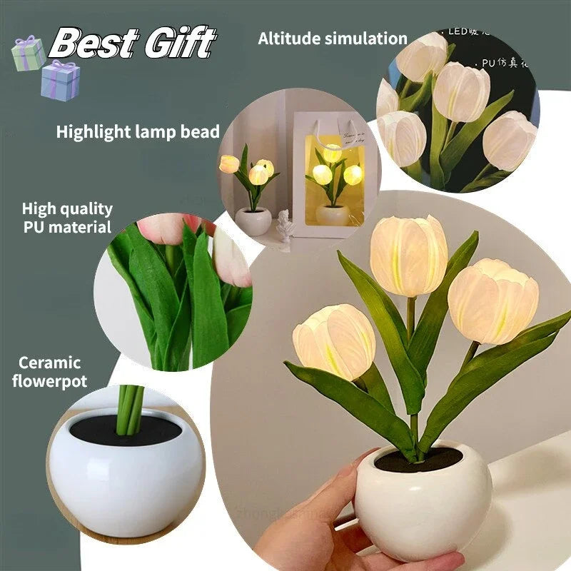 LED Tulip Night Light